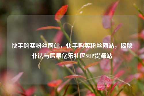快手购买粉丝网站	，快手购买粉丝网站，揭秘非法与后果亿乐社区SUP货源站  第1张