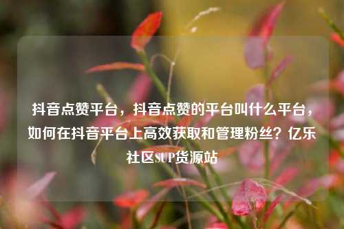 抖音点赞平台	，抖音点赞的平台叫什么平台，如何在抖音平台上高效获取和管理粉丝？亿乐社区SUP货源站  第1张