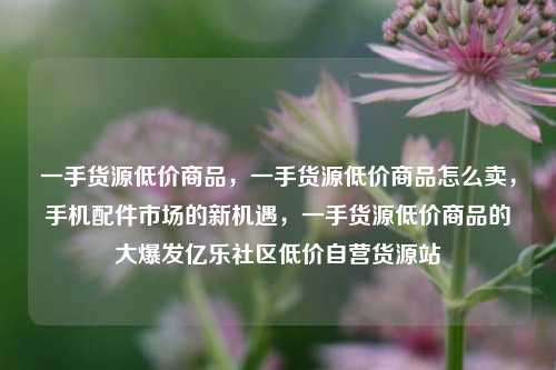一手货源低价商品，一手货源低价商品怎么卖	，手机配件市场的新机遇，一手货源低价商品的大爆发亿乐社区低价自营货源站  第1张